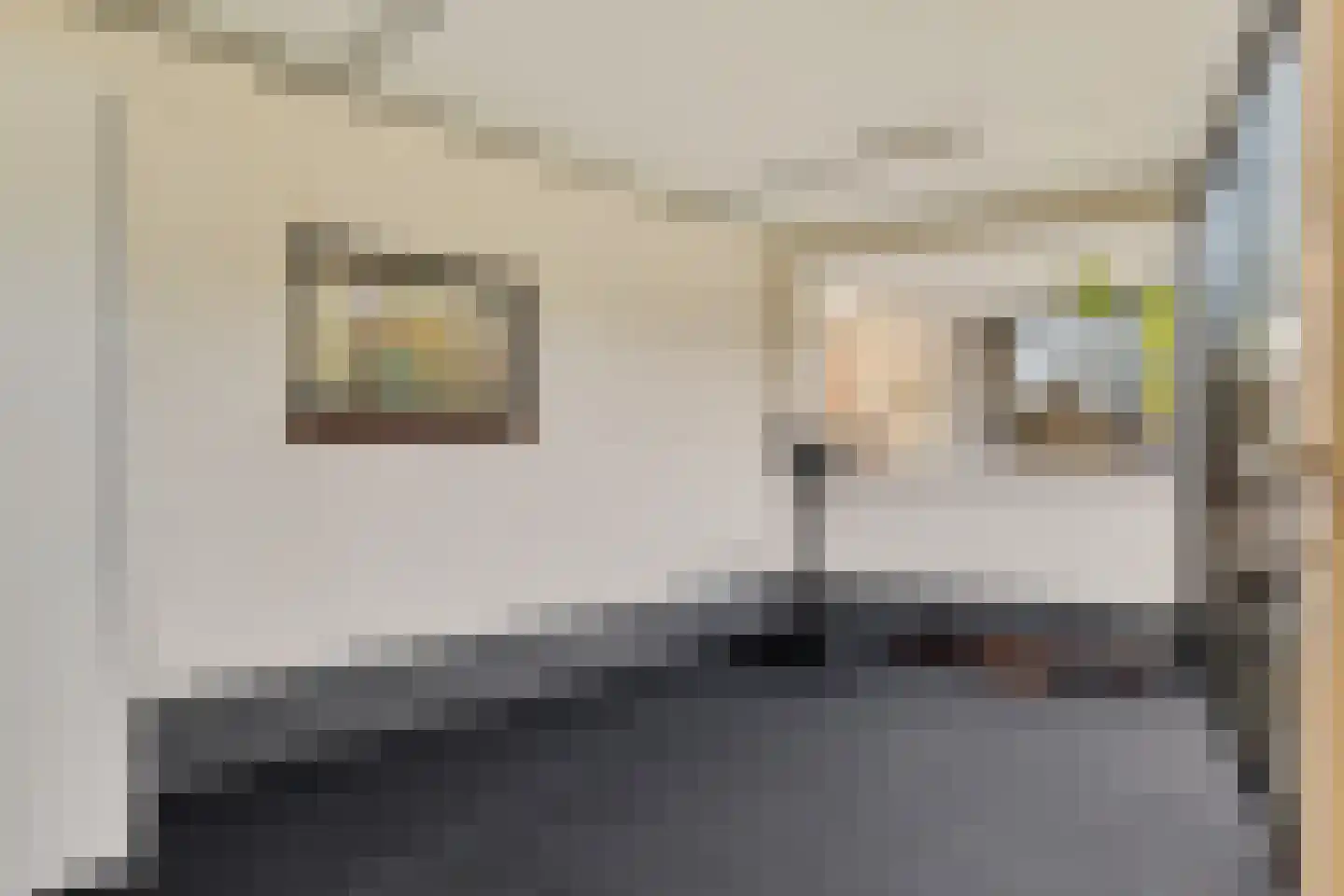 Dr HAW van der Vechtlaan 32 Hasselt thumbnail 68