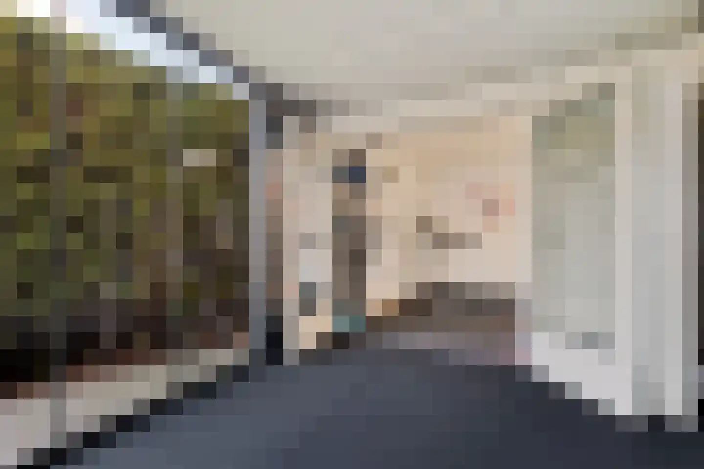 Dr HAW van der Vechtlaan 32 Hasselt thumbnail 69