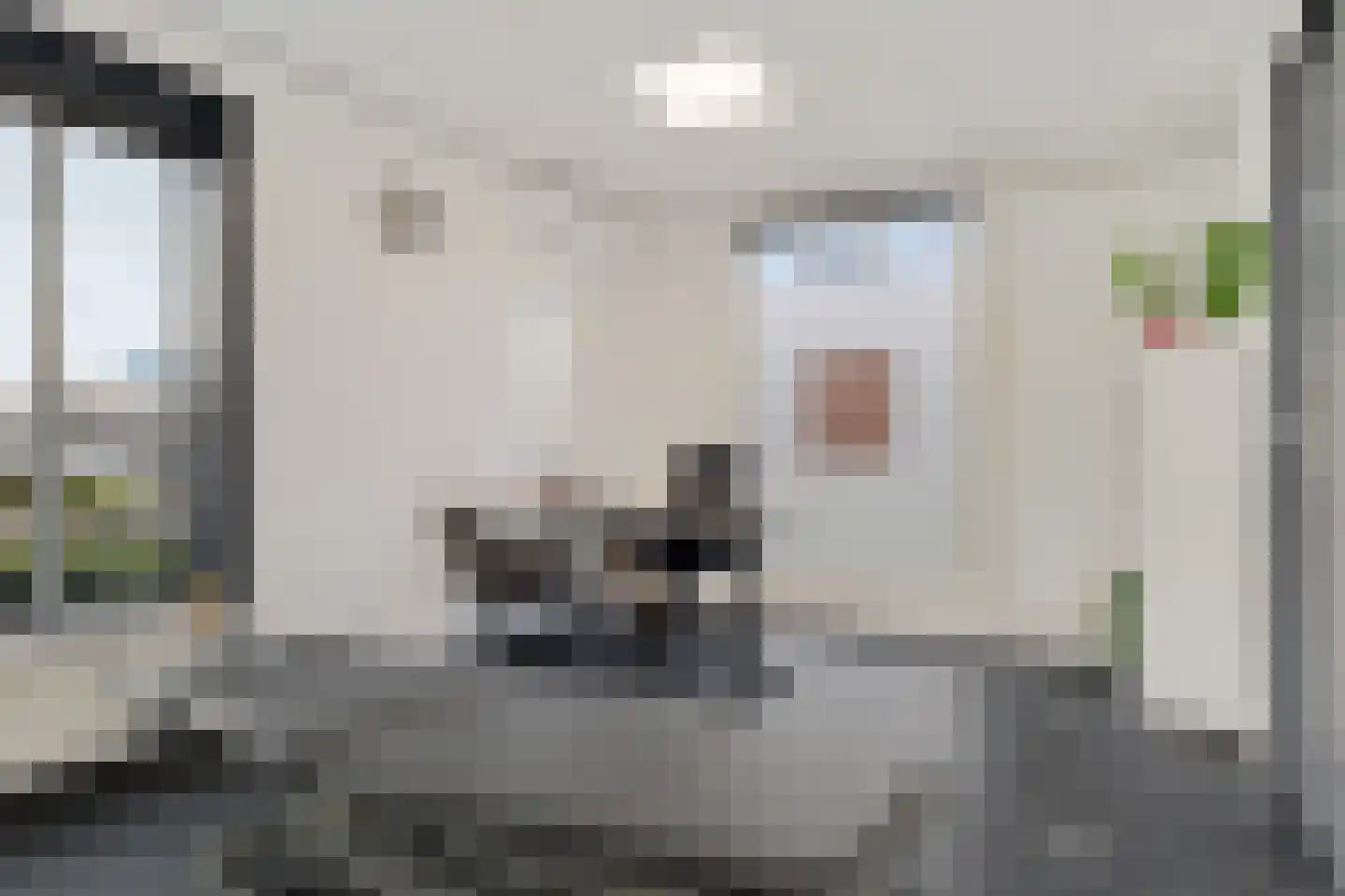 Dr HAW van der Vechtlaan 32 Hasselt thumbnail 71