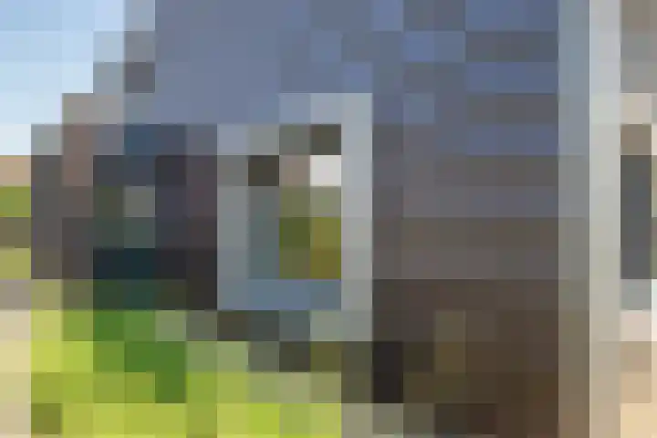 Dr HAW van der Vechtlaan 36 Hasselt thumbnail 11