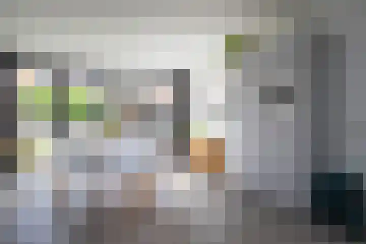 Dr HAW van der Vechtlaan 36 Hasselt thumbnail 25