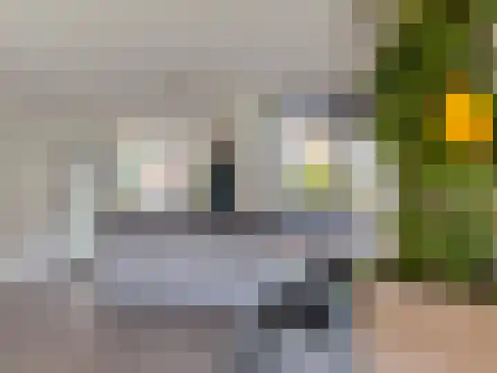 Dr HAW van der Vechtlaan 36 Hasselt thumbnail 26