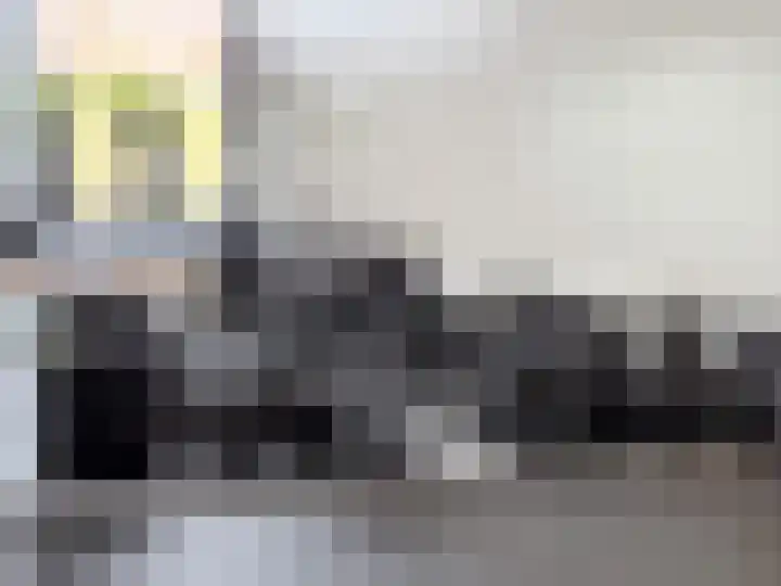 Dr HAW van der Vechtlaan 36 Hasselt thumbnail 27