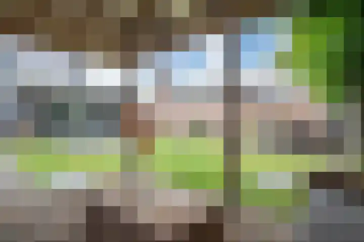 Dr HAW van der Vechtlaan 36 Hasselt thumbnail 38
