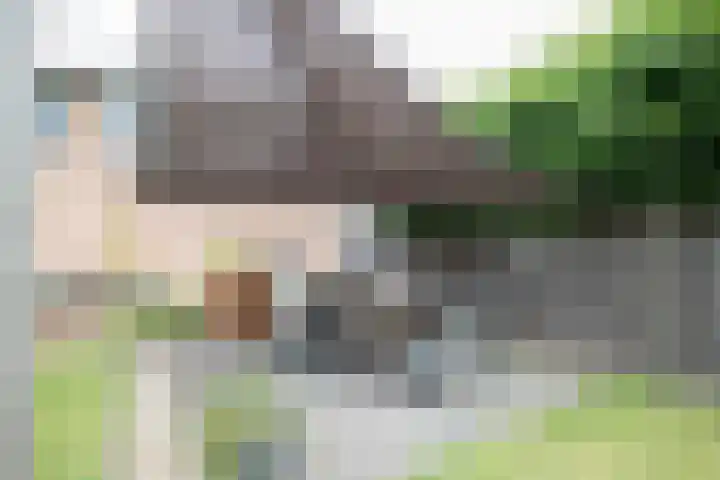Dr HAW van der Vechtlaan 36 Hasselt thumbnail 39