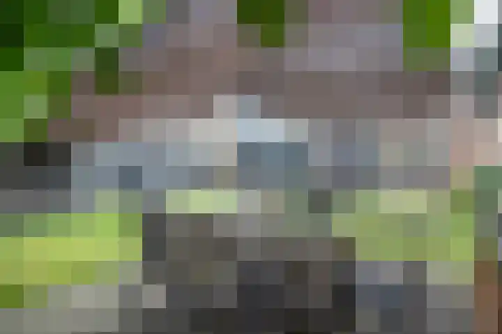 Dr HAW van der Vechtlaan 36 Hasselt thumbnail 40