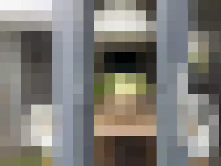 Dr HAW van der Vechtlaan 36 Hasselt thumbnail 44