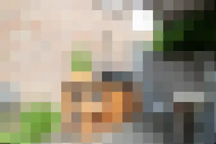 Dr HAW van der Vechtlaan 36 Hasselt thumbnail 48