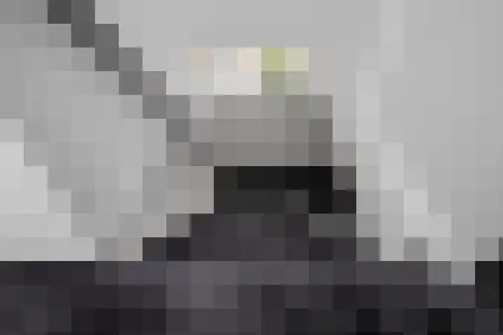 Dr HAW van der Vechtlaan 36 Hasselt thumbnail 60
