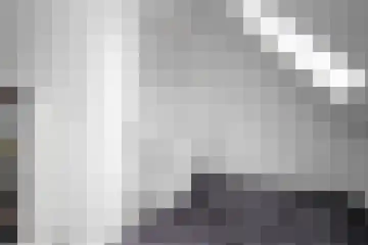 Dr HAW van der Vechtlaan 36 Hasselt thumbnail 61
