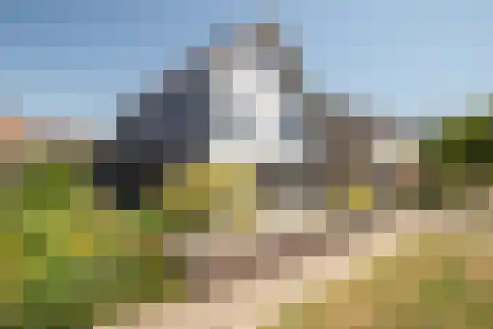Dr HAW van der Vechtlaan 36 Hasselt thumbnail 9