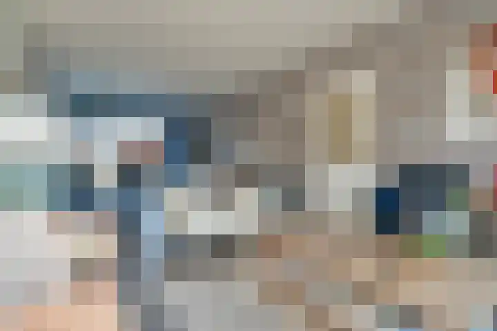 Dr HAW van der Vechtlaan 74 Hasselt thumbnail 13