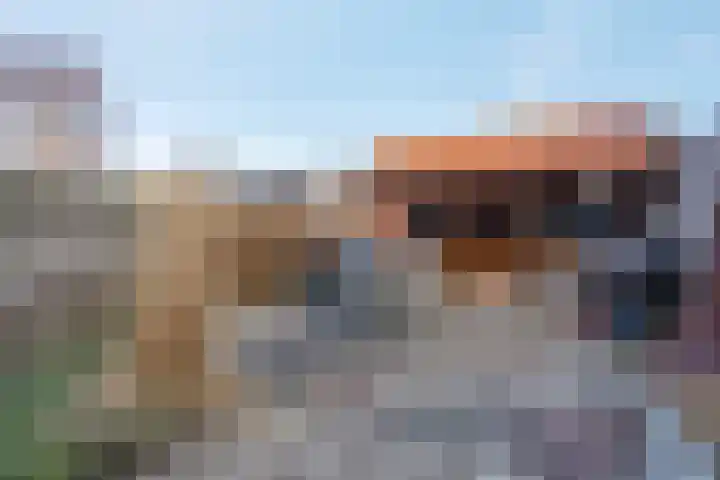 Dr HAW van der Vechtlaan 74 Hasselt thumbnail 17