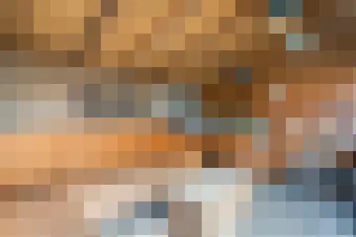 Dr HAW van der Vechtlaan 74 Hasselt thumbnail 18