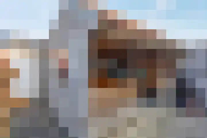 Dr HAW van der Vechtlaan 74 Hasselt thumbnail 20