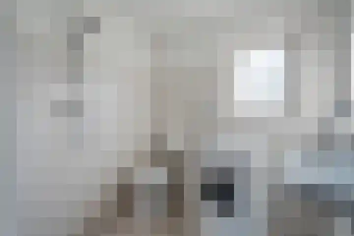 Dr HAW van der Vechtlaan 74 Hasselt thumbnail 24