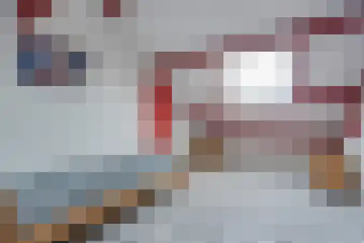Dr HAW van der Vechtlaan 74 Hasselt thumbnail 37