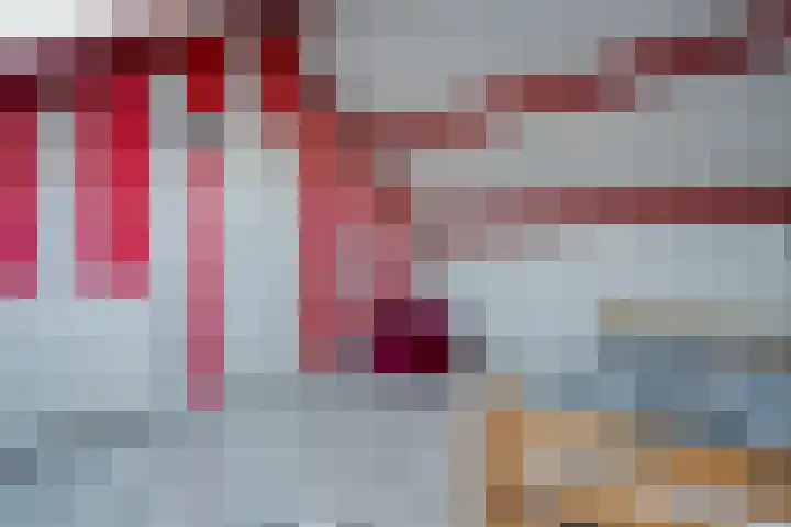 Dr HAW van der Vechtlaan 74 Hasselt thumbnail 38