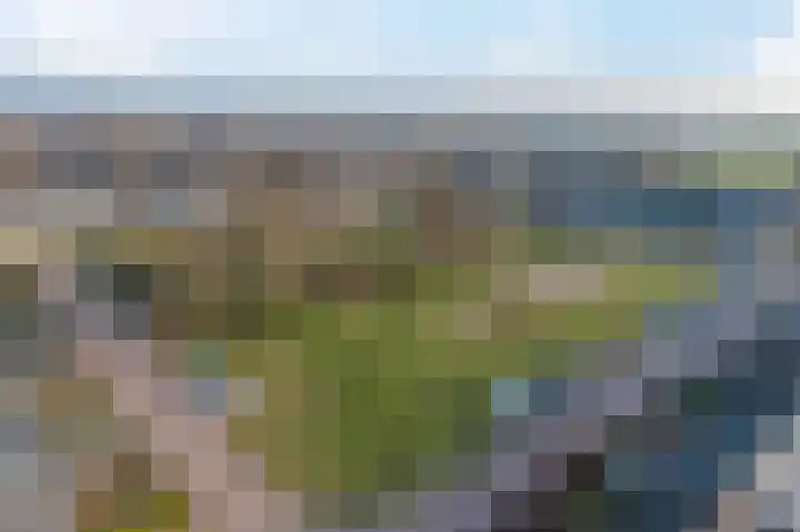 Dr HAW van der Vechtlaan 74 Hasselt thumbnail 41