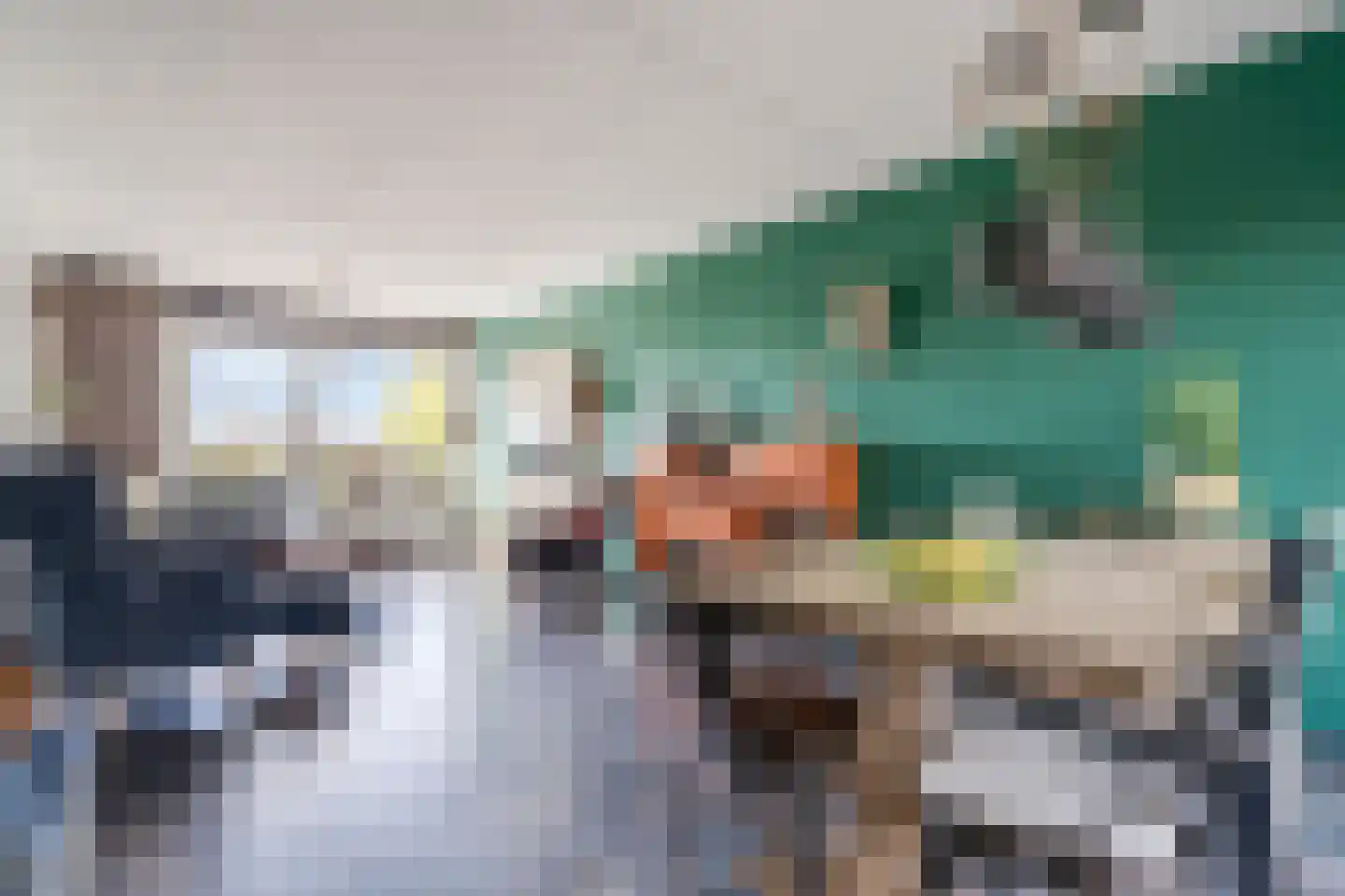 Dr HAW van der Vechtlaan 88 Hasselt thumbnail 10