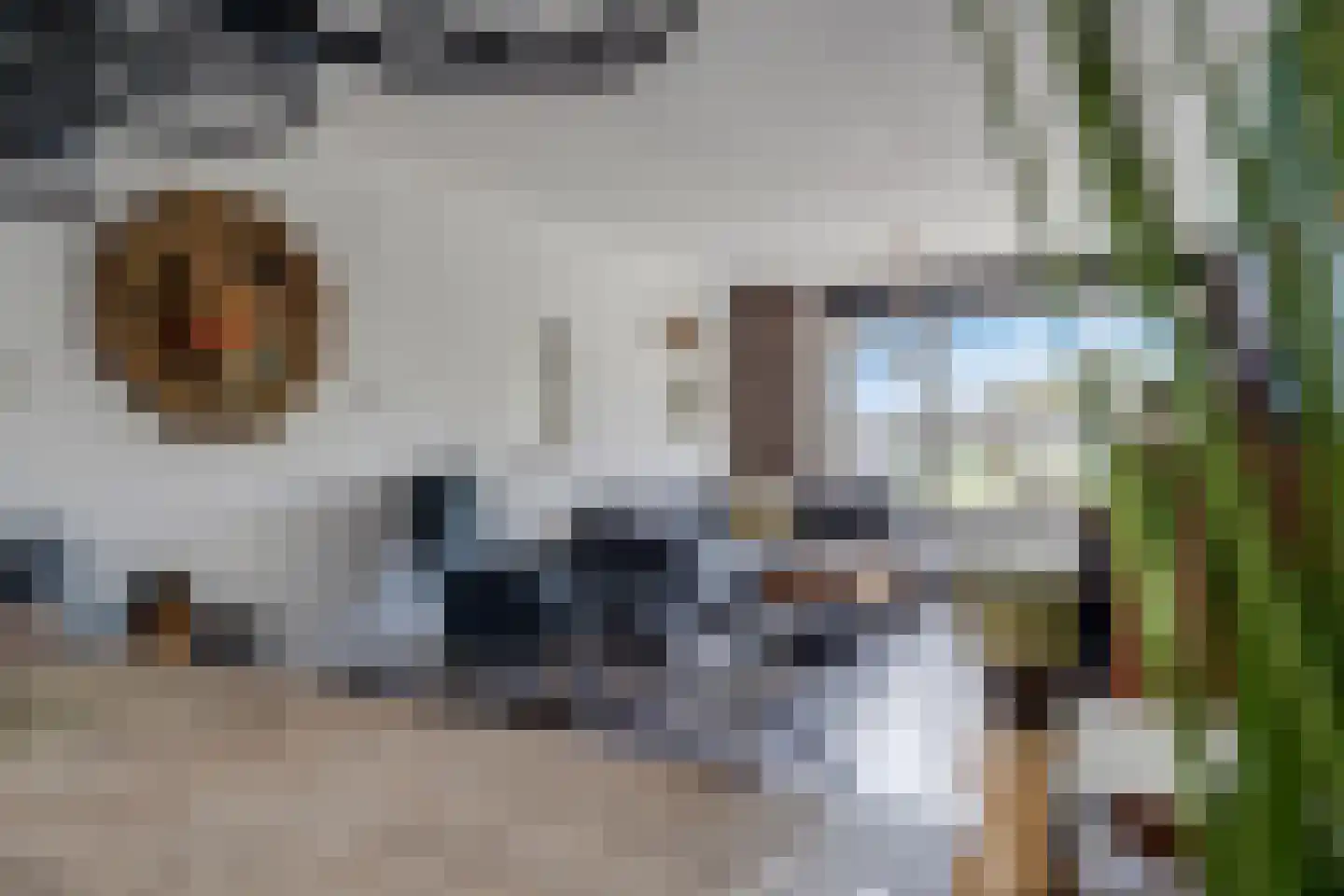 Dr HAW van der Vechtlaan 88 Hasselt thumbnail 11
