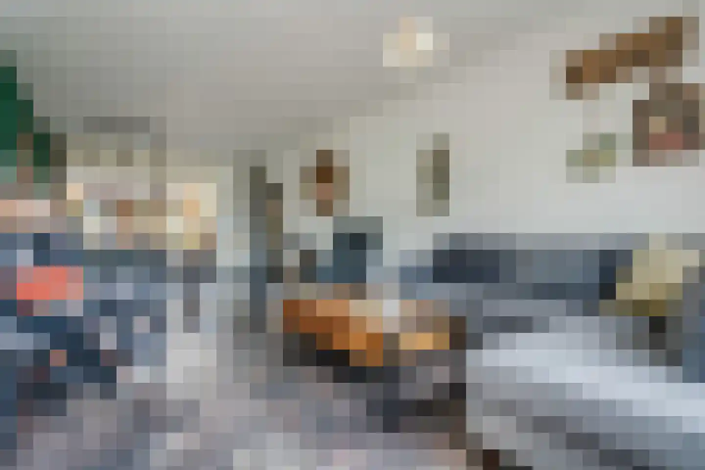 Dr HAW van der Vechtlaan 88 Hasselt thumbnail 15