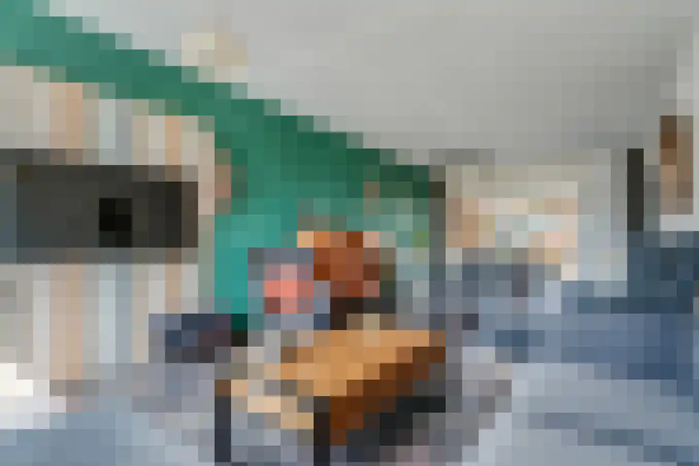 Dr HAW van der Vechtlaan 88 Hasselt thumbnail 16