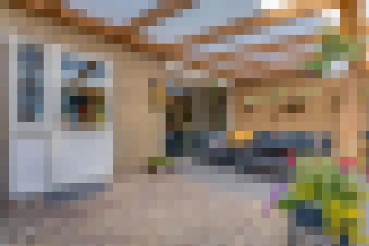 Dr HAW van der Vechtlaan 88 Hasselt thumbnail 19