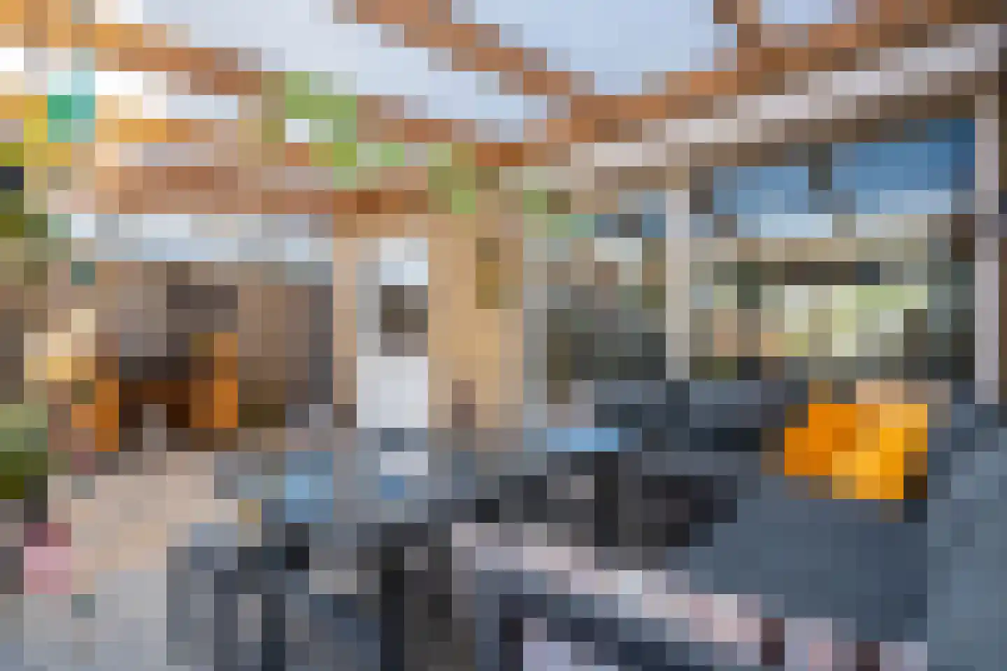 Dr HAW van der Vechtlaan 88 Hasselt thumbnail 20