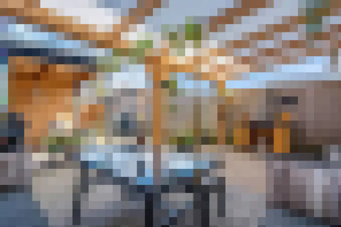 Dr HAW van der Vechtlaan 88 Hasselt thumbnail 21