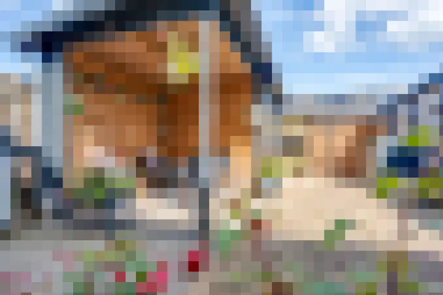 Dr HAW van der Vechtlaan 88 Hasselt thumbnail 22
