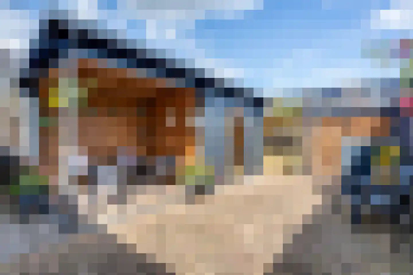 Dr HAW van der Vechtlaan 88 Hasselt thumbnail 23