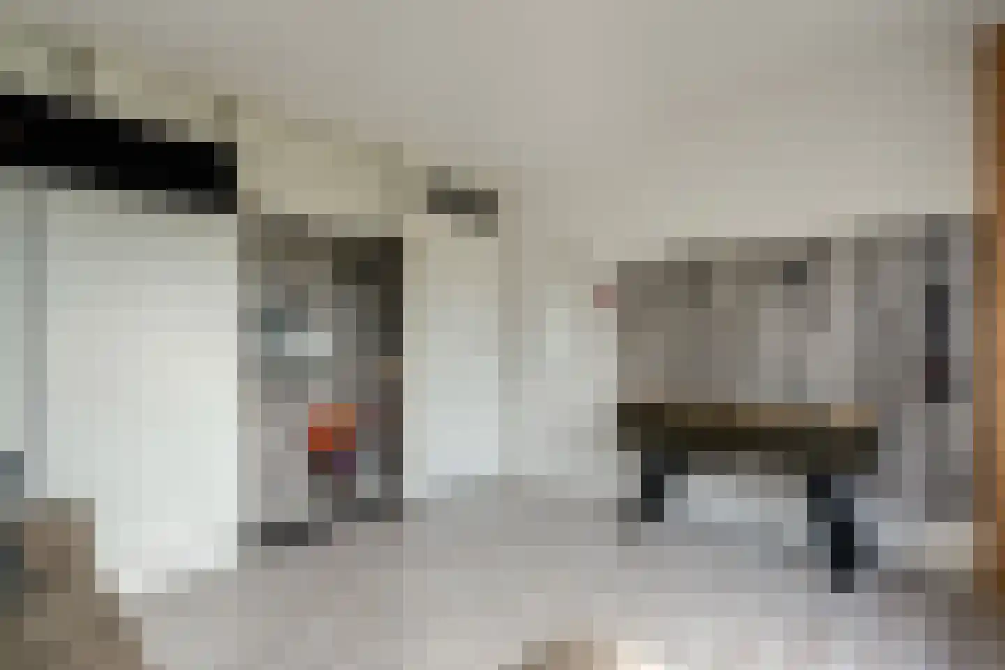 Dr HAW van der Vechtlaan 88 Hasselt thumbnail 35