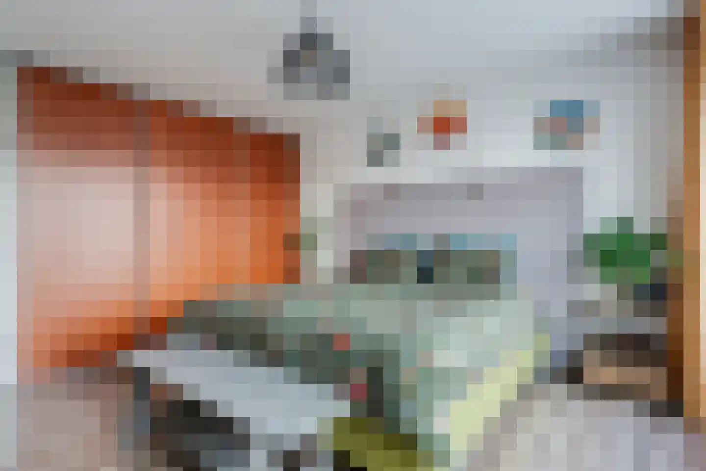 Dr HAW van der Vechtlaan 88 Hasselt thumbnail 37