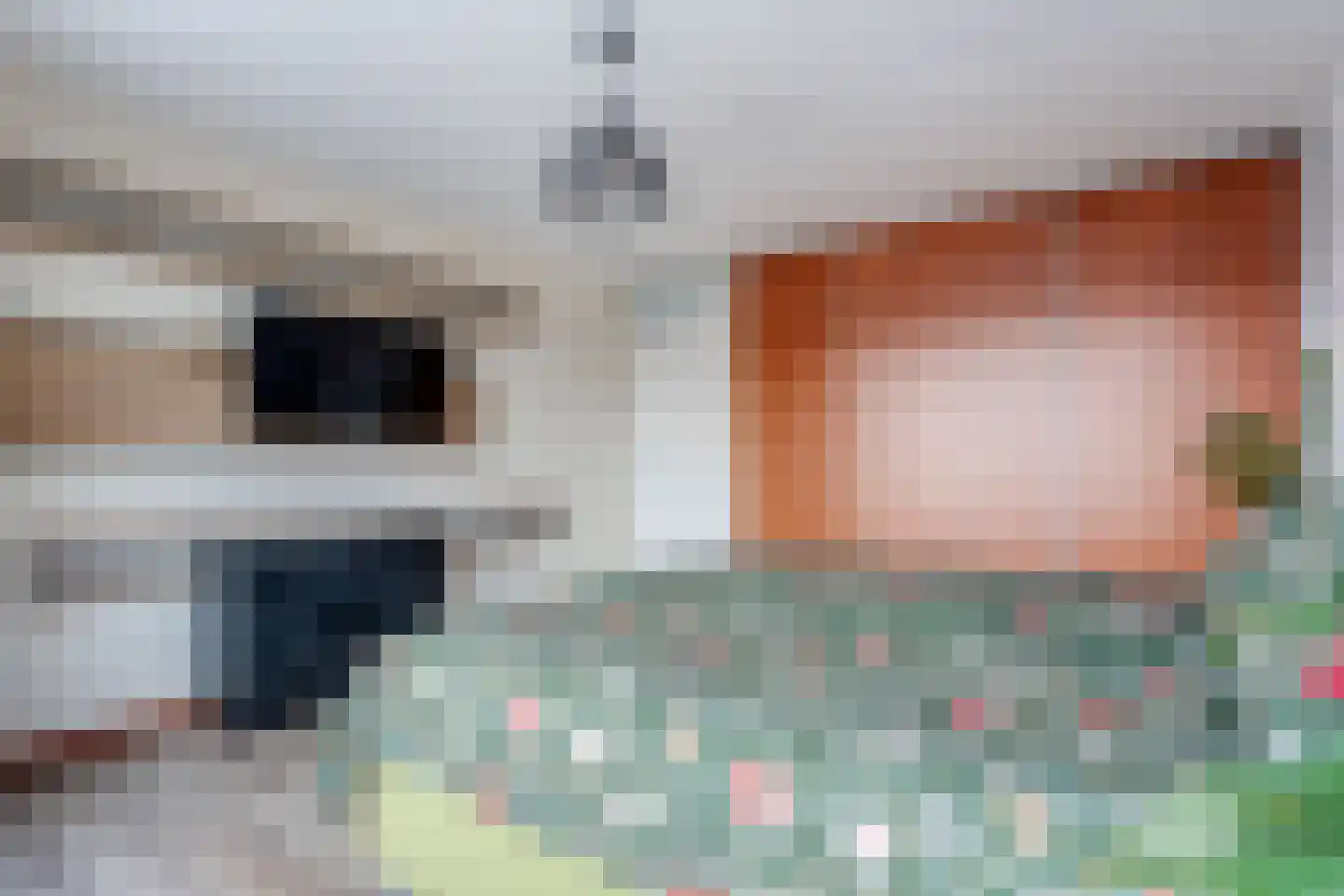 Dr HAW van der Vechtlaan 88 Hasselt thumbnail 38