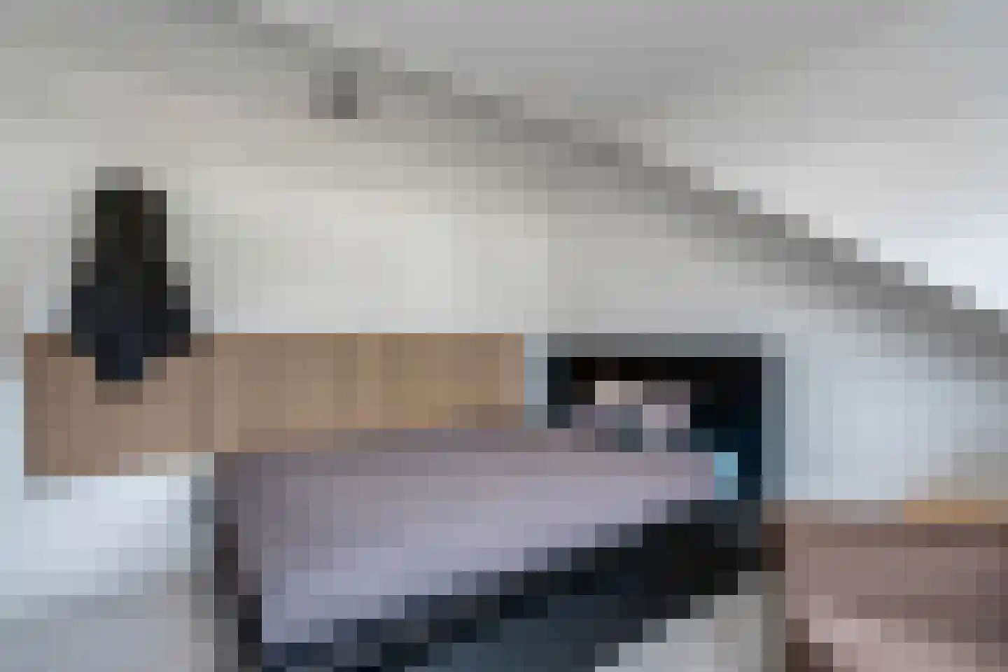 Dr HAW van der Vechtlaan 88 Hasselt thumbnail 43