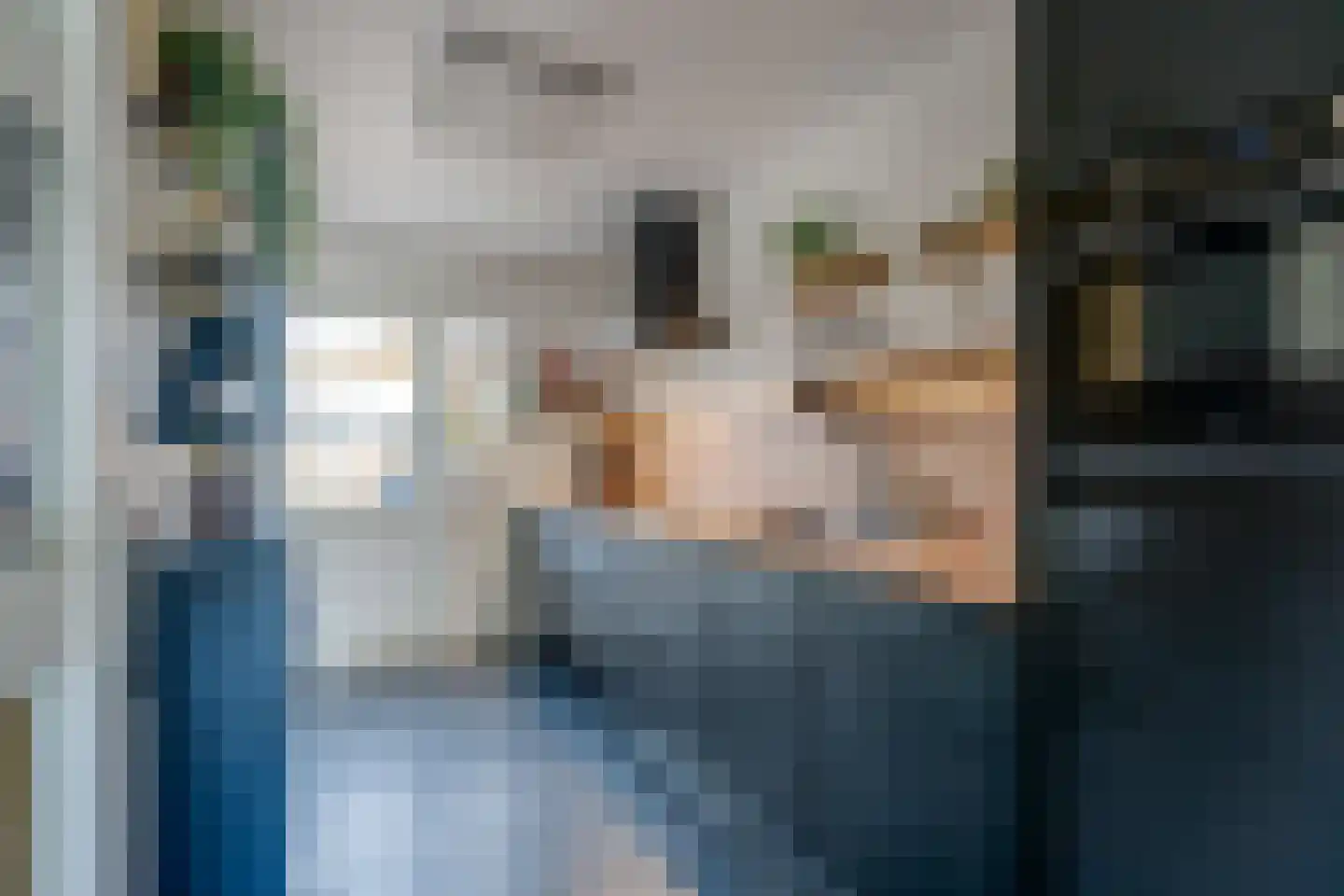 Dr HAW van der Vechtlaan 88 Hasselt thumbnail 7