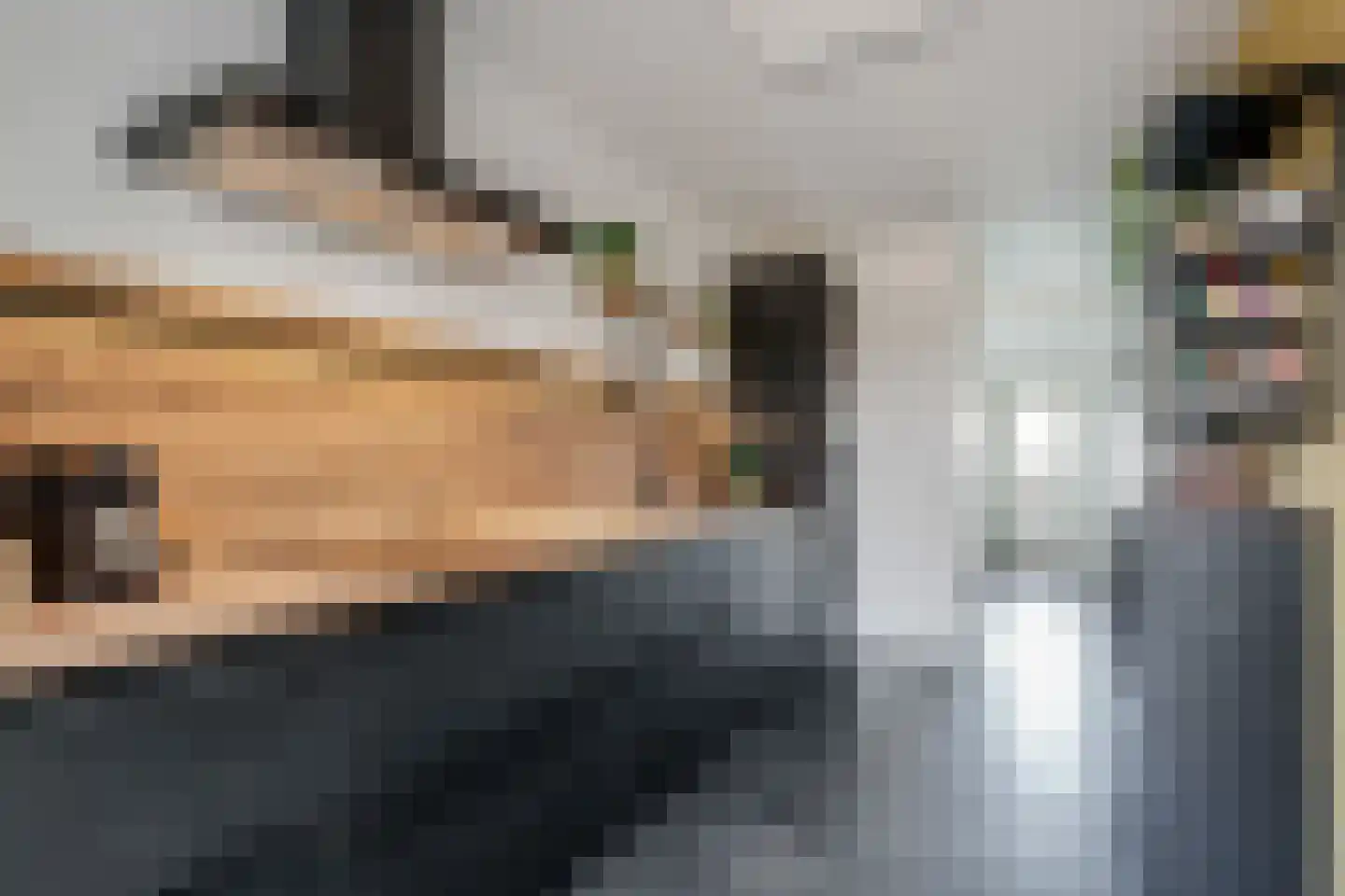 Dr HAW van der Vechtlaan 88 Hasselt thumbnail 8