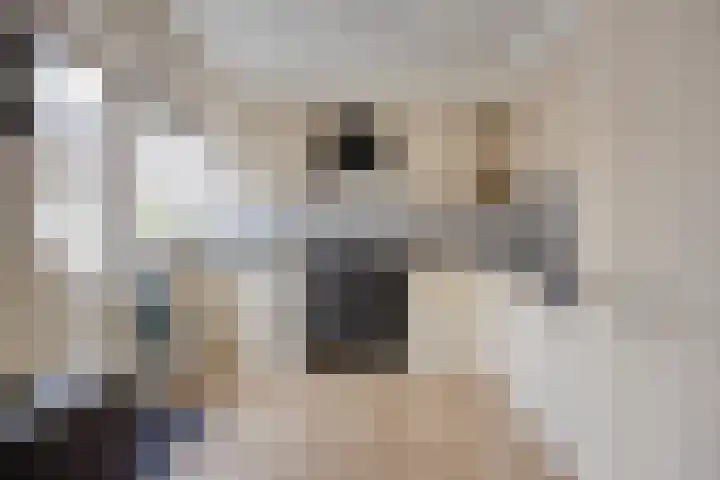 Dr. Heijelaan 23 Abbenes thumbnail 10
