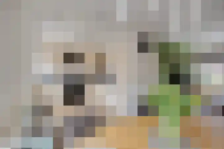 Dr. Heijelaan 23 Abbenes thumbnail 11