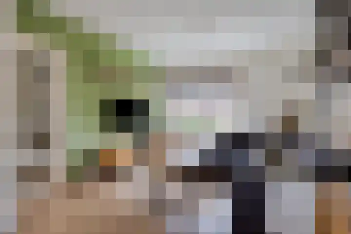 Dr. Heijelaan 23 Abbenes thumbnail 6