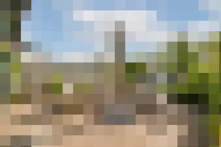 Dr. Heijelaan 32 Abbenes thumbnail 4