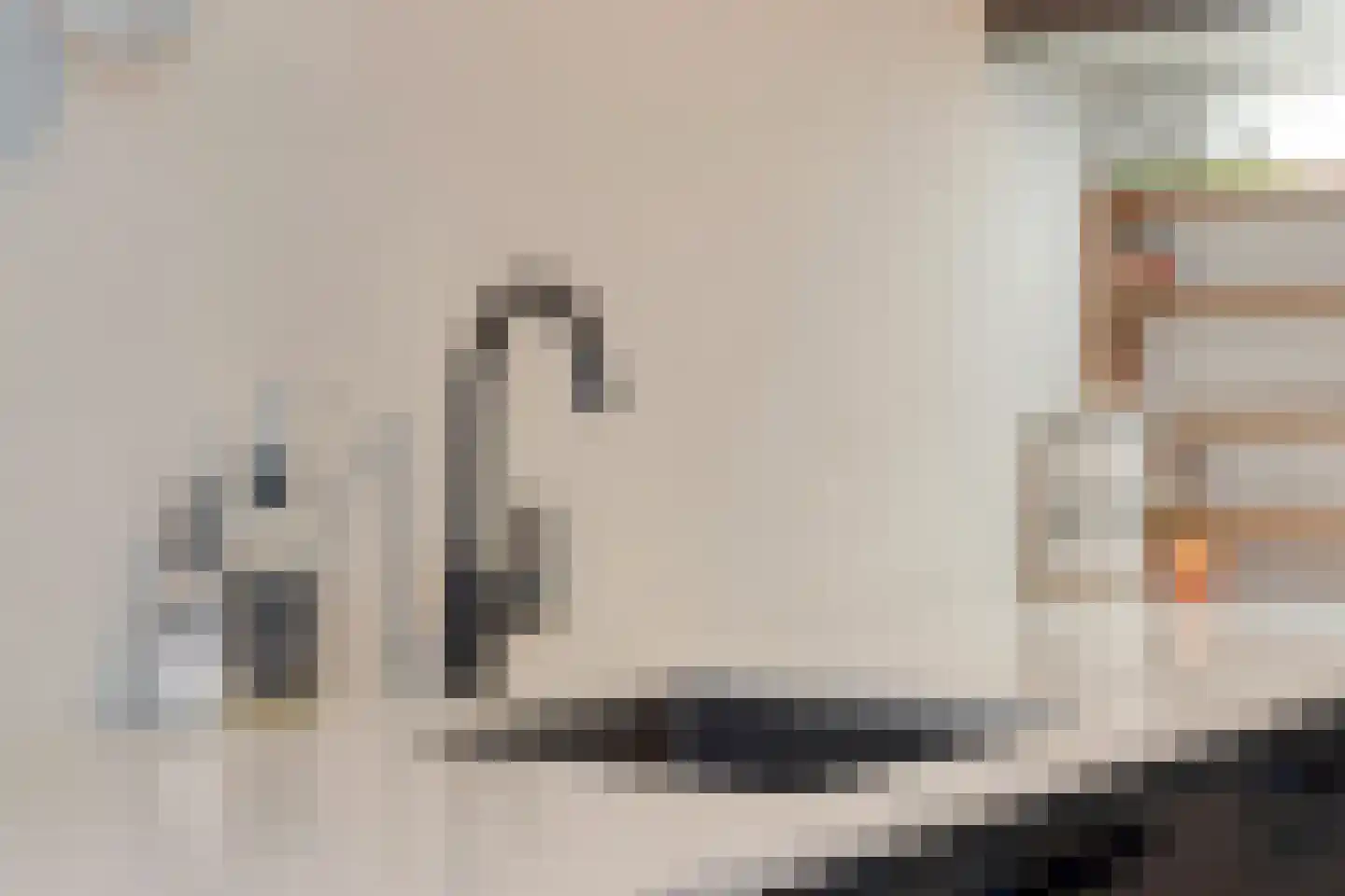 Dr. Hein Hoebenlaan 24 Waalre thumbnail 14