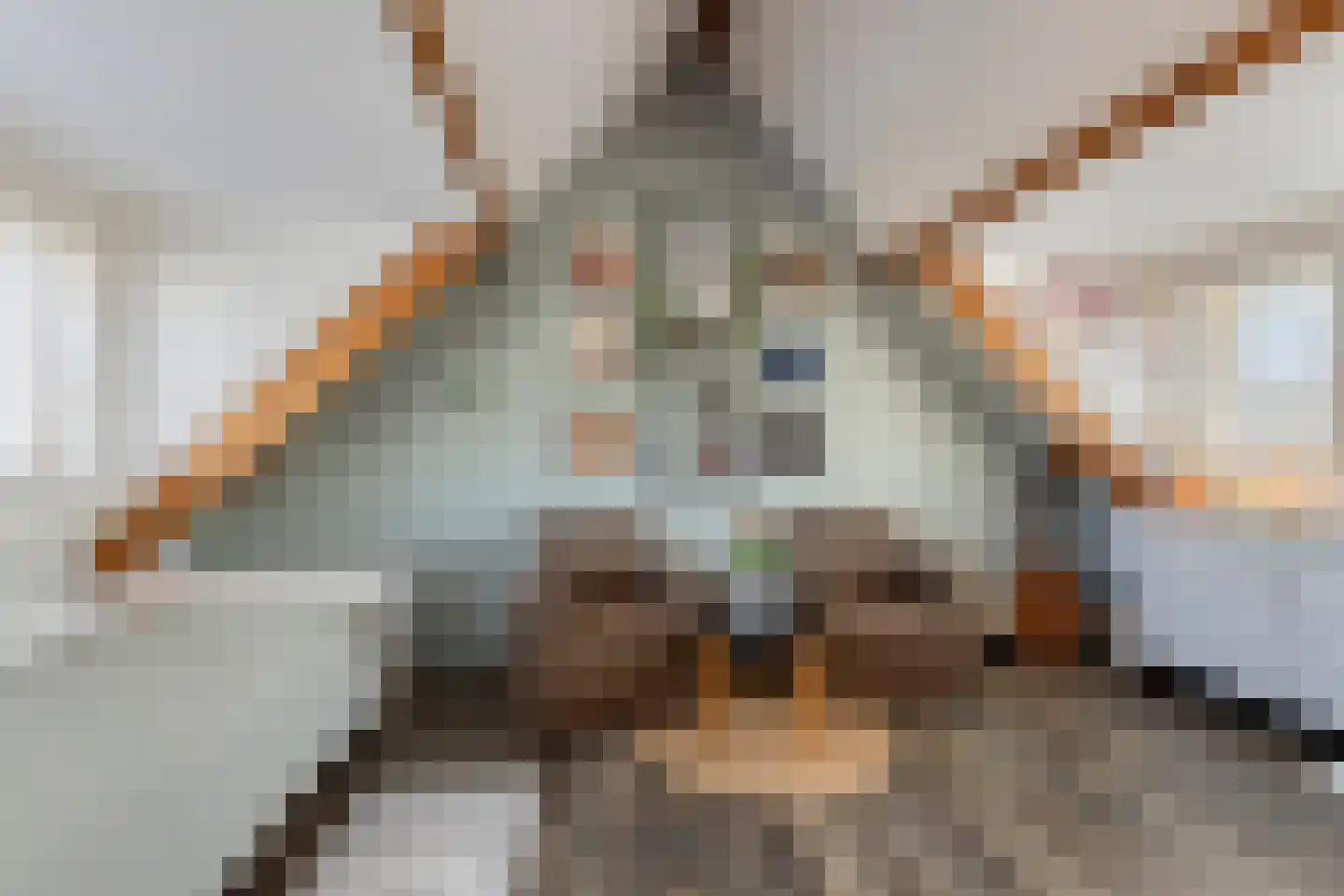 Dr. Hein Hoebenlaan 24 Waalre thumbnail 33