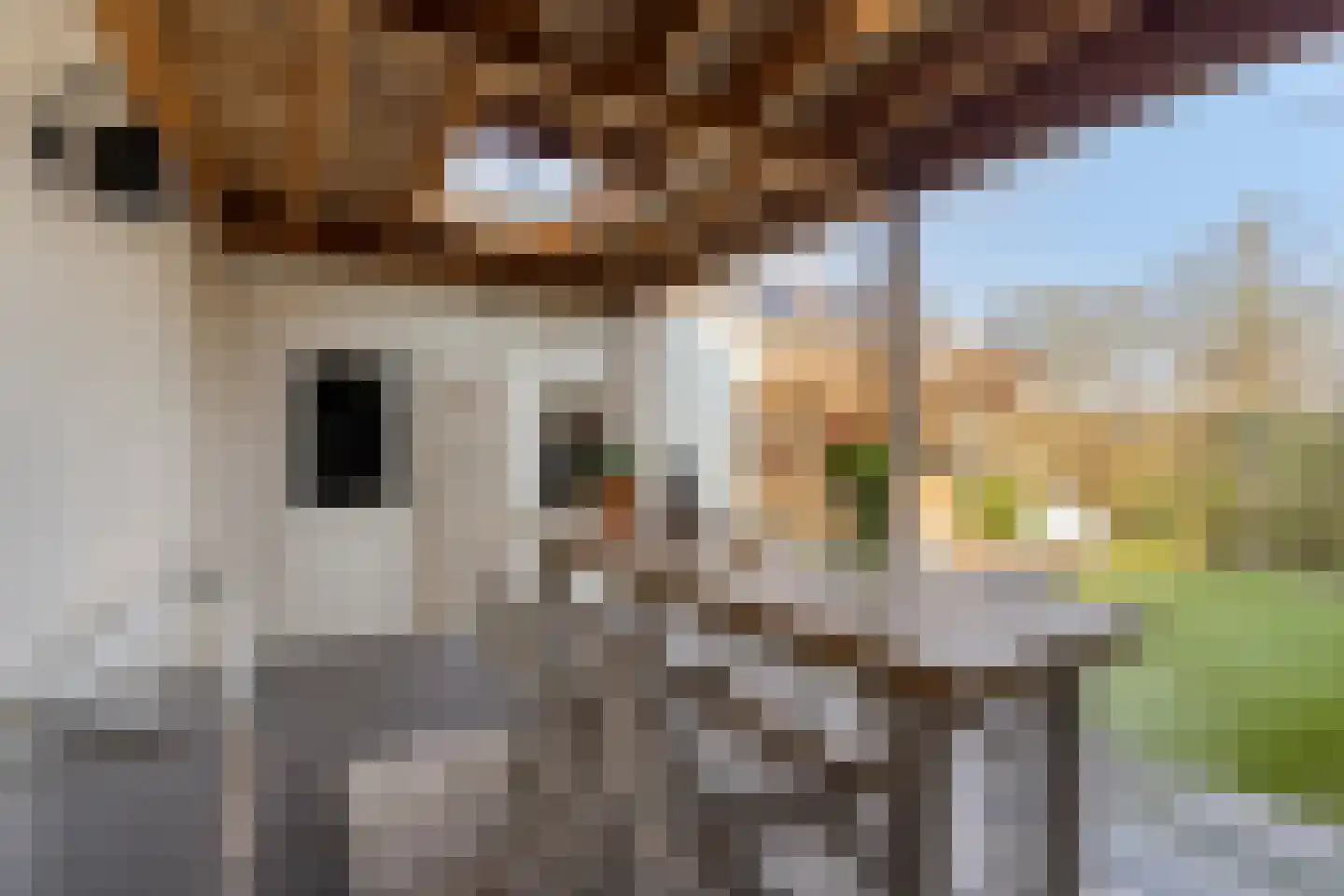 Dr. Hein Hoebenlaan 24 Waalre thumbnail 36