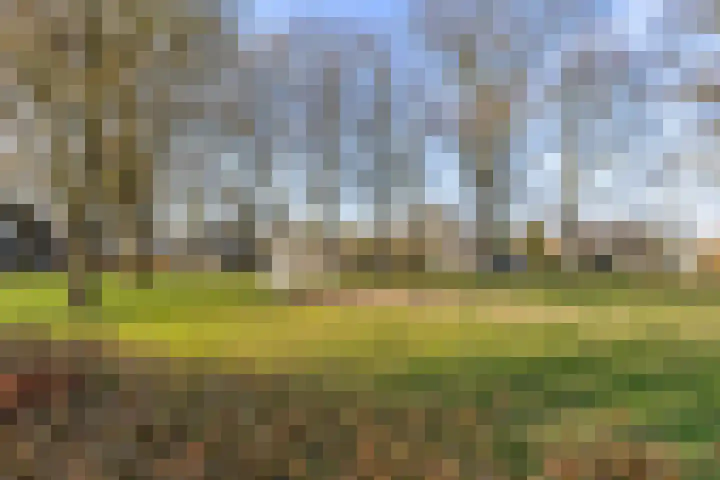 Dr. Hein Hoebenlaan 24 Waalre thumbnail 43