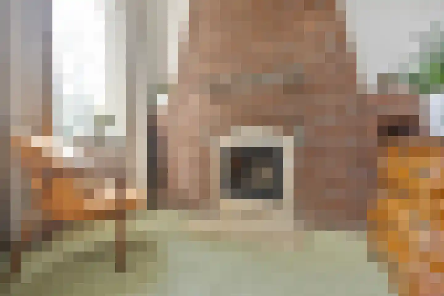 Dr. Hermanslaan 34 Oss thumbnail 10