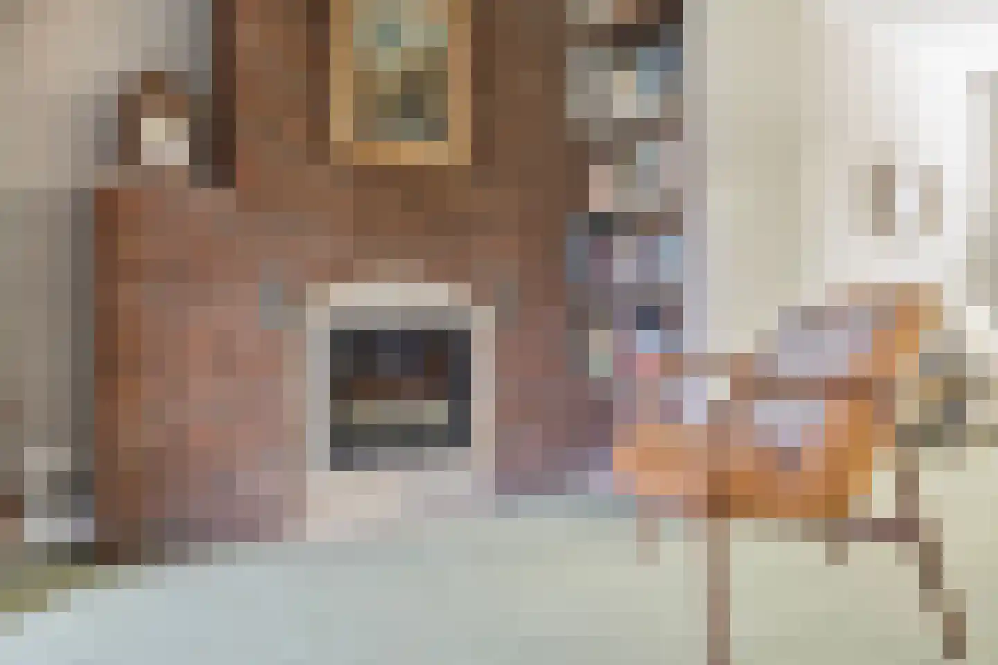 Dr. Hermanslaan 34 Oss thumbnail 15