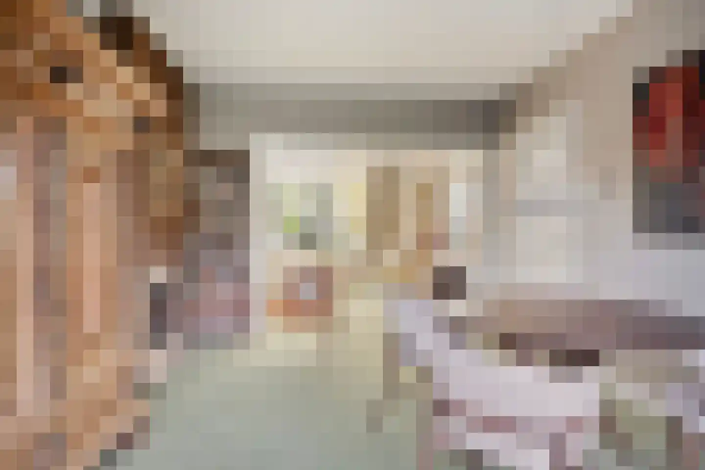 Dr. Hermanslaan 34 Oss thumbnail 16