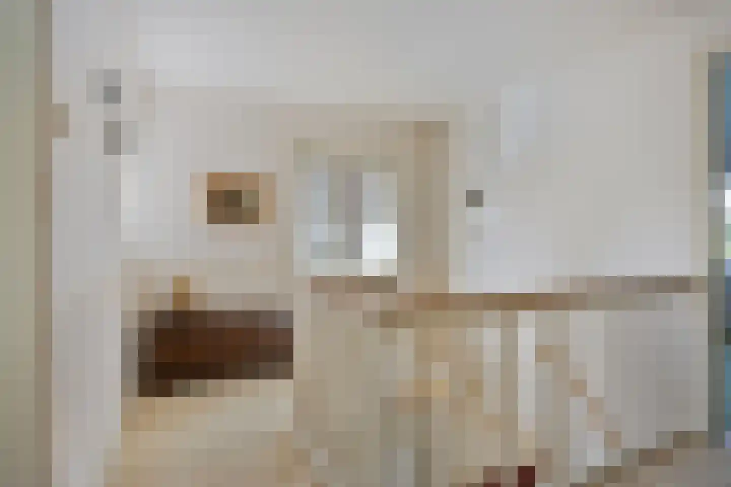 Dr. Hermanslaan 34 Oss thumbnail 24
